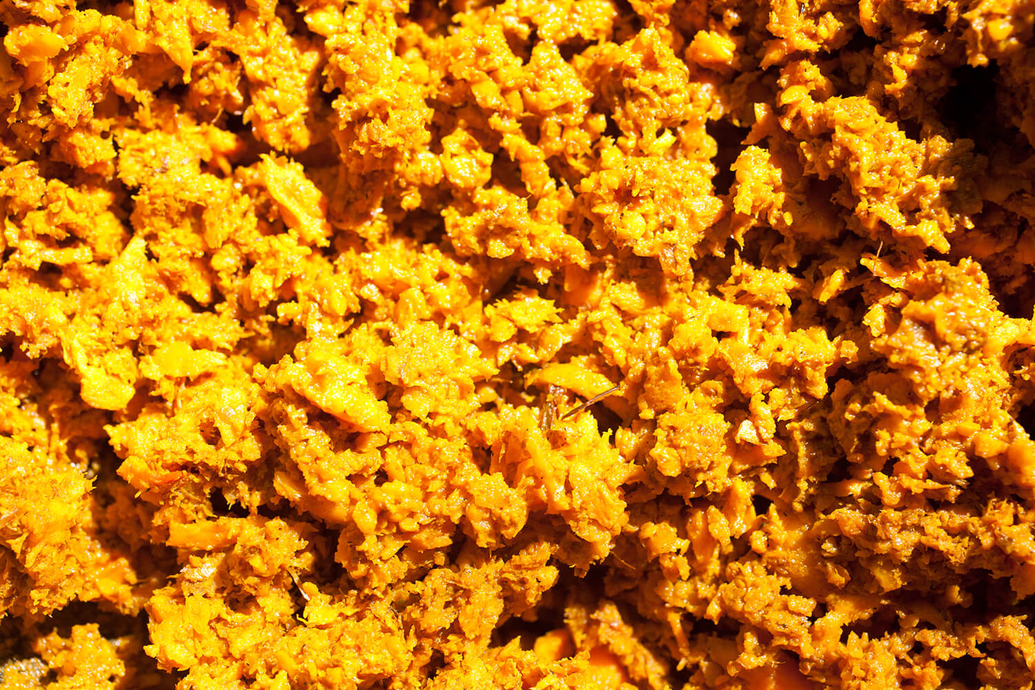 CURCUMA_galeria 10 _MG_4234.jpg
